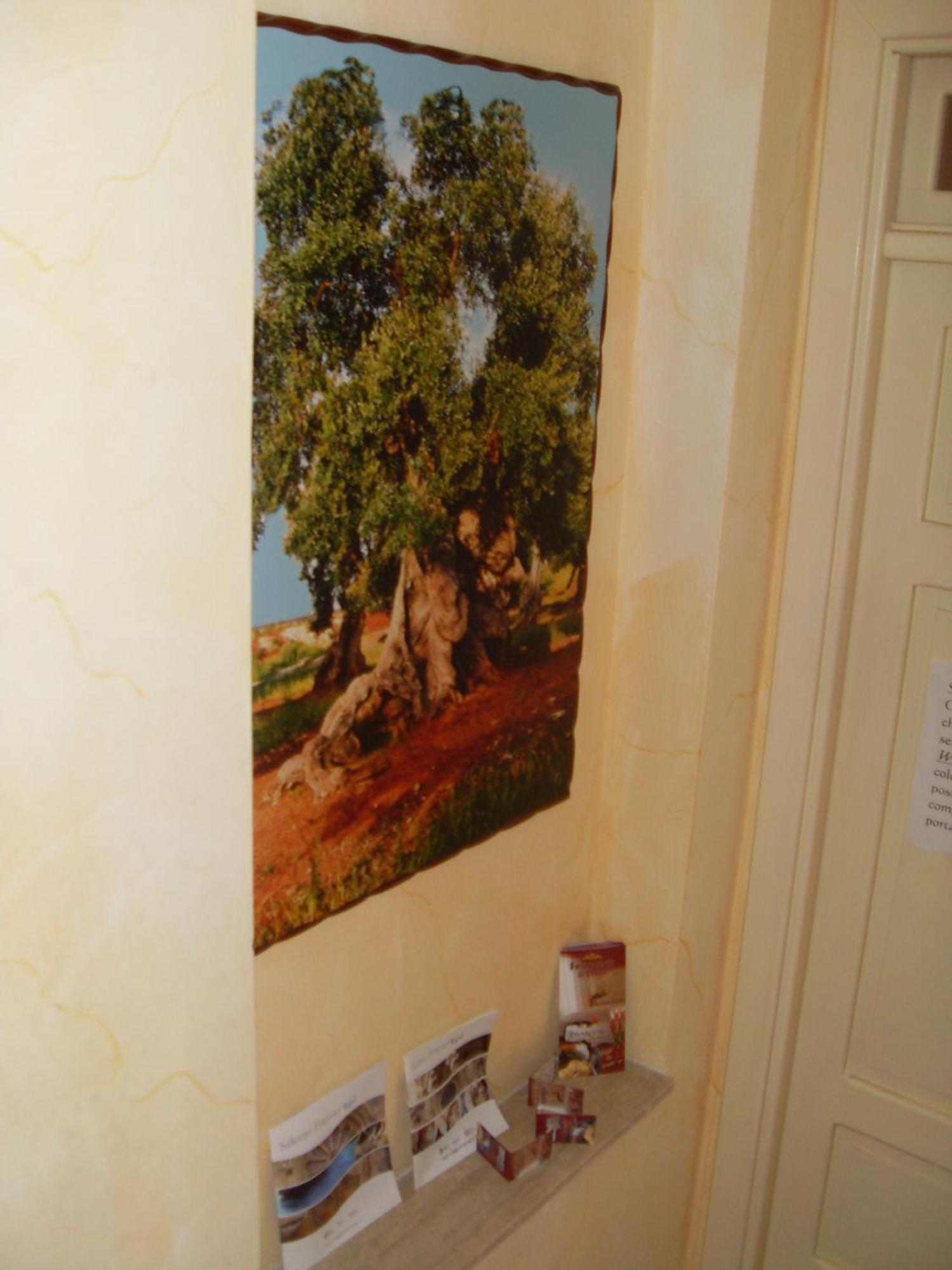 B&B Frammenti D'Itria Ceglie Messapica Exterior photo